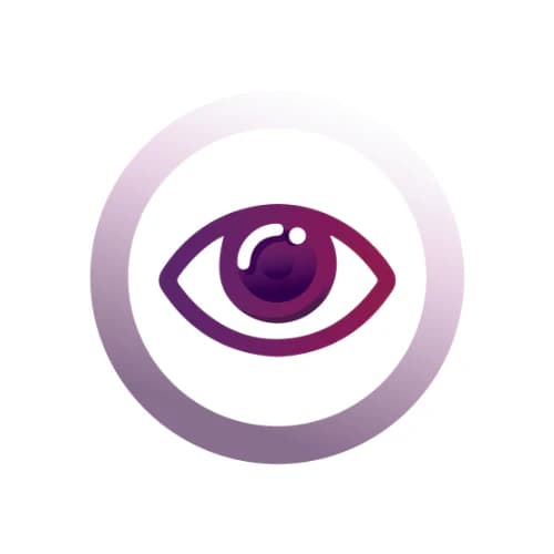 Vision